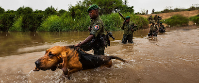 Congohounds Ranger Wasser
